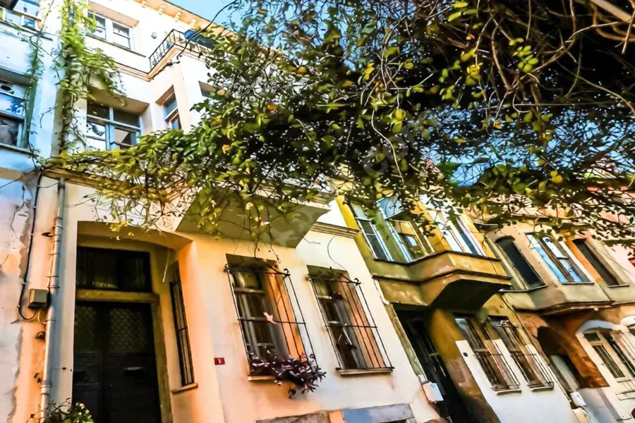 Yaldızcı Sokak'ta binanın cephesi ve sarmaşık